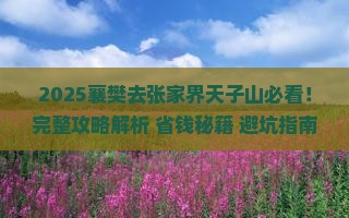 襄樊去张家界天子山哪里玩
