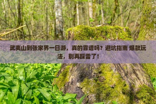 武夷山到张家界一日