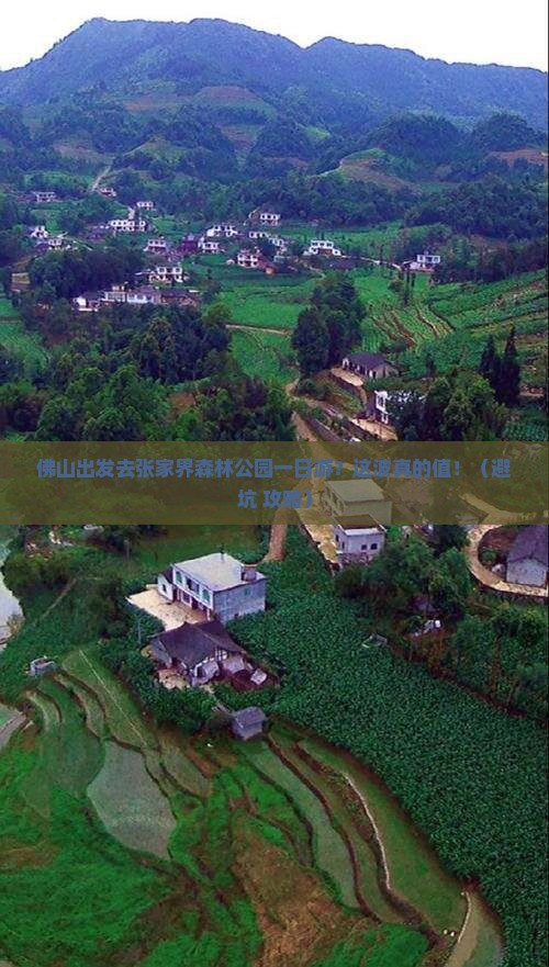 佛山去张家界森林公园一日