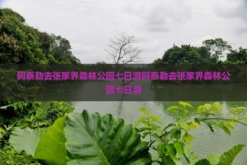 阿泰勒去张家界森林公园七日游