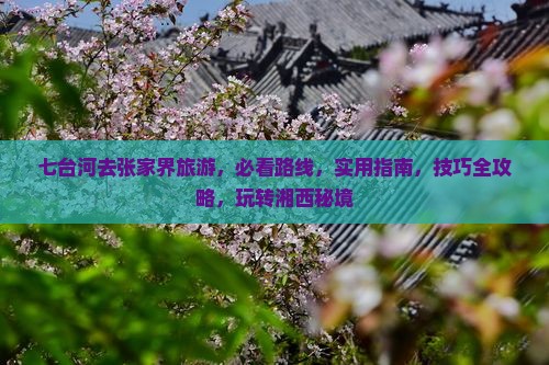 七台河去张家界旅游