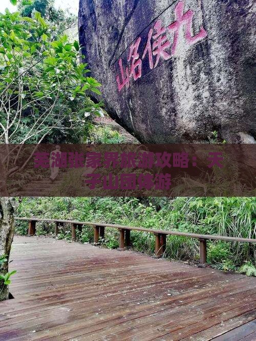 芜湖去张家界天子山团体旅游