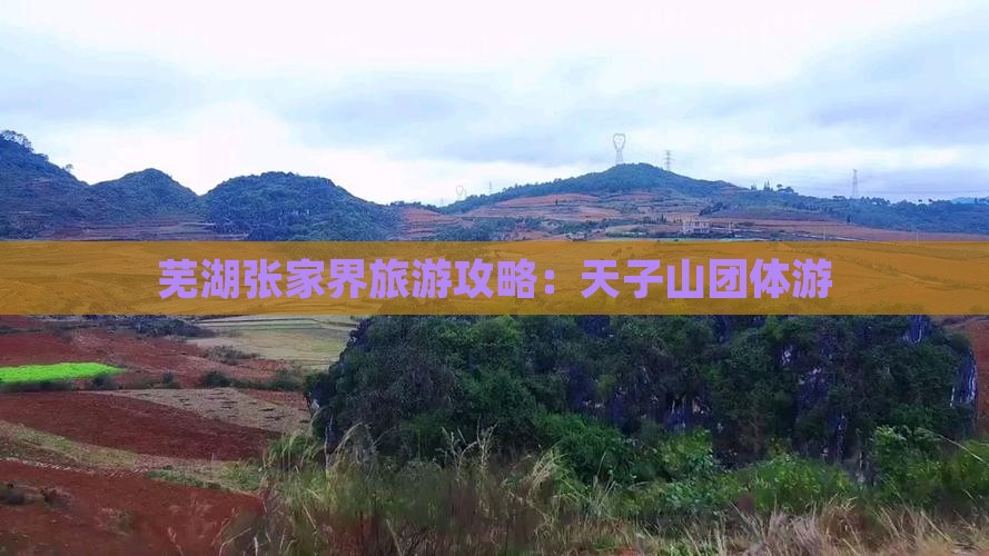 芜湖去张家界天子山团体旅游