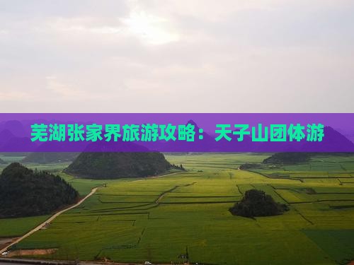 芜湖去张家界天子山团体旅游