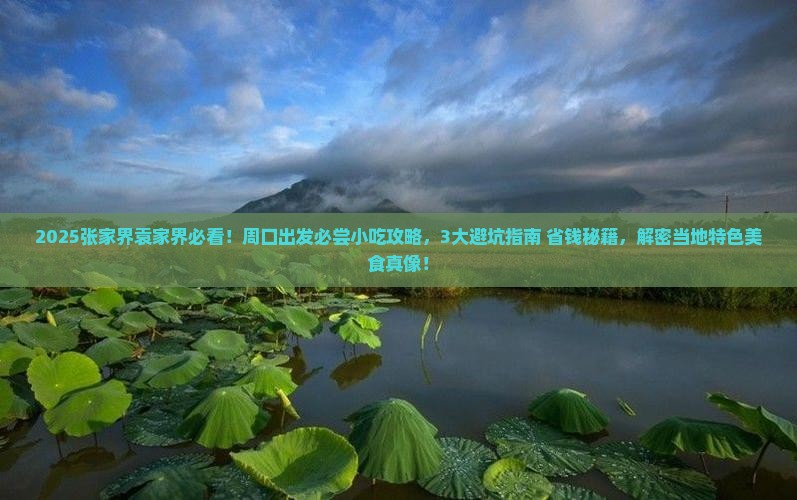 周口去张家界袁家界旅游小吃