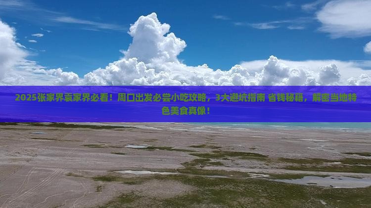周口去张家界袁家界旅游小吃