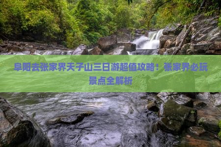 阜阳去张家界天子山三日游