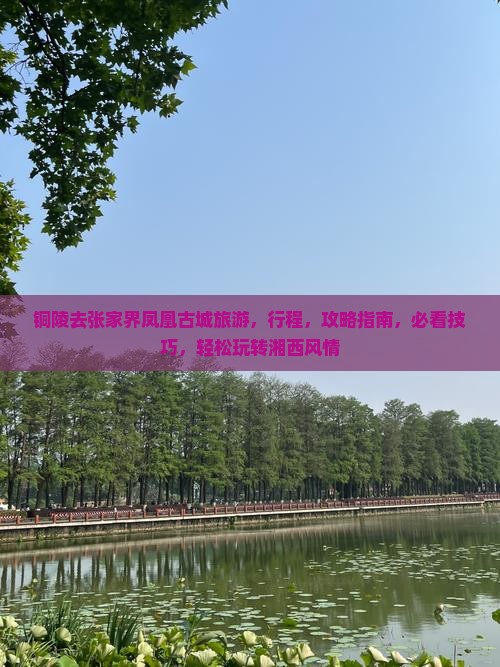 铜陵去张家界凤凰古城旅游