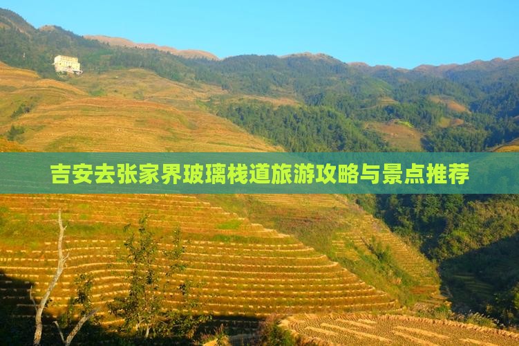 吉安去张家界玻璃栈道自由行