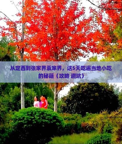 定西到张家界袁家界旅游小吃