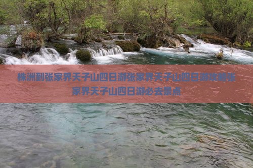 株洲到张家界天子山四日游