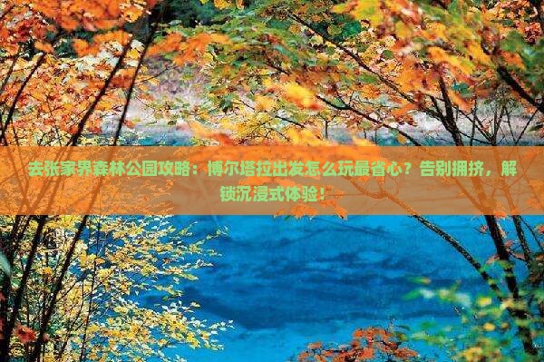 博尔塔拉去张家界森林公园攻略