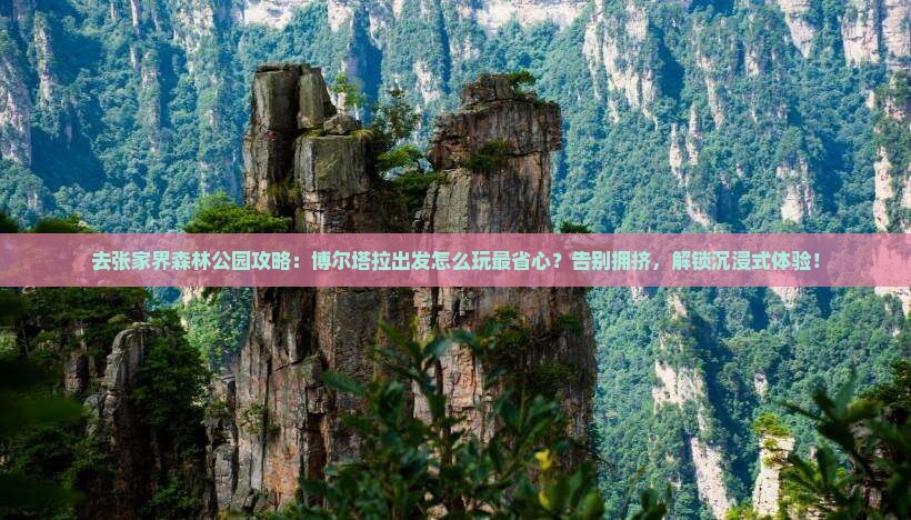 博尔塔拉去张家界森林公园攻略