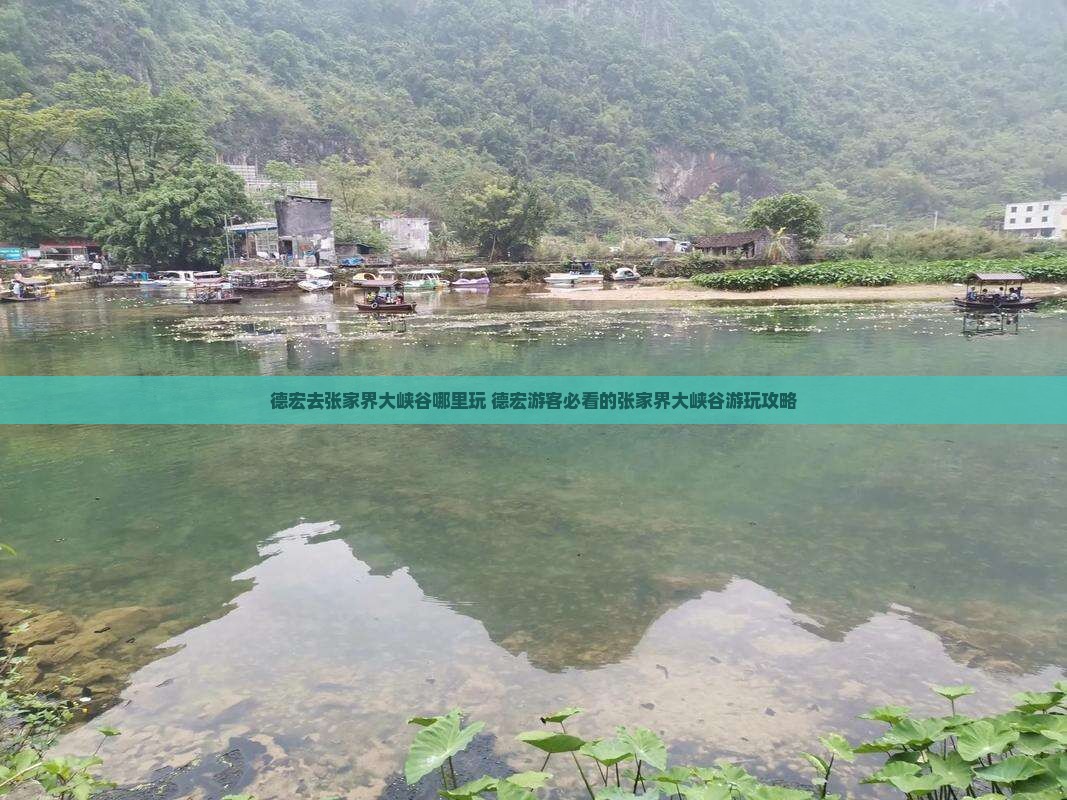 德宏去张家界大峡谷哪里玩