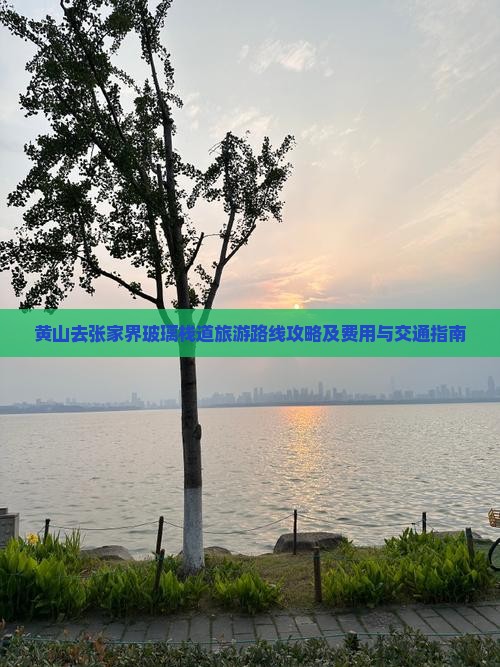 黄山去张家界玻璃栈道旅游