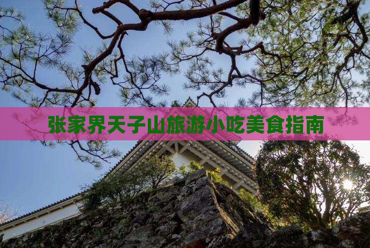 宁波去张家界天子山旅游小吃