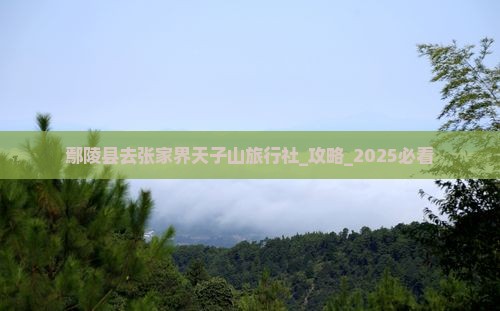 鄢陵县去张家界天子山旅行社
