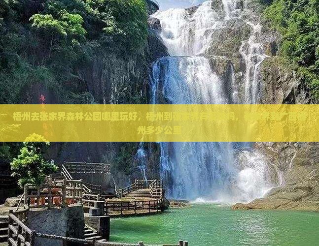 梧州去张家界森林公园哪里玩