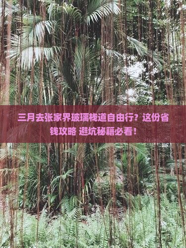 三月到张家界玻璃栈道自由行