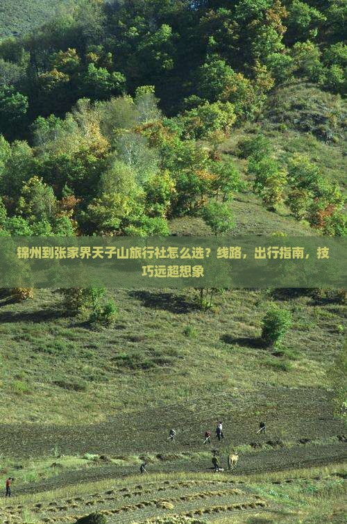 锦州到张家界天子山旅行社