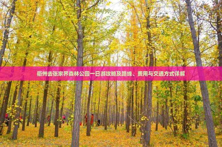 衢州去张家界森林公园一日游攻略及路线、费用与交通方式详解
