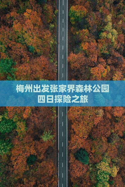 梅州出发张家界森林公园四日探险之旅