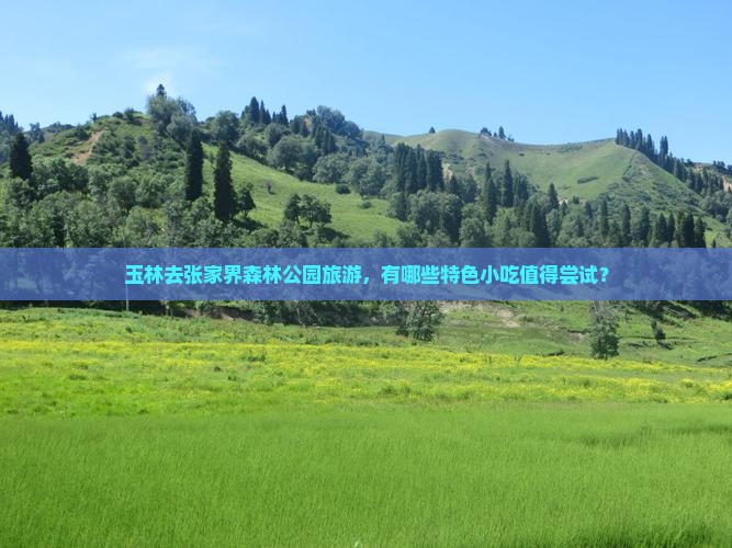 玉林去张家界森林公园旅游，有哪些特色小吃值得尝试？