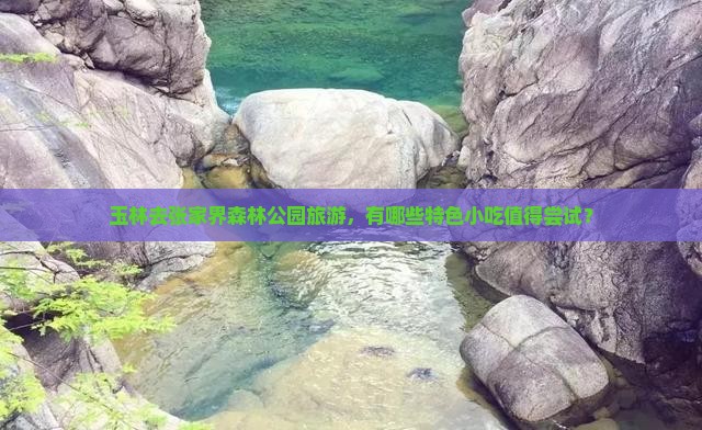 玉林去张家界森林公园旅游，有哪些特色小吃值得尝试？