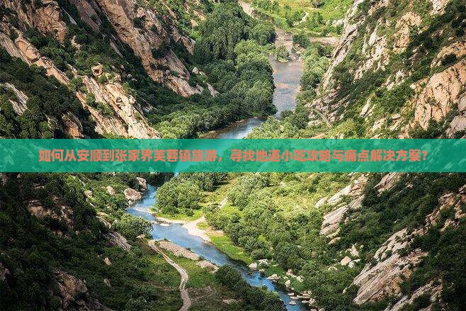 如何从安顺到张家界芙蓉镇旅游，寻找地道小吃攻略与痛点解决方案？
