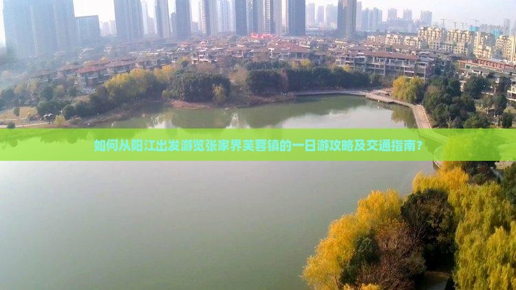 如何从阳江出发游览张家界芙蓉镇的一日游攻略及交通指南？