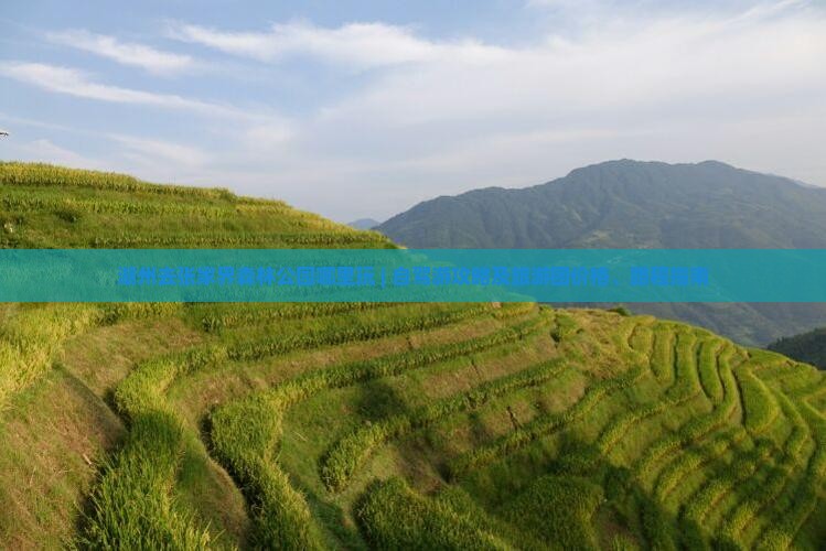 湖州去张家界森林公园哪里玩 | 自驾游攻略及旅游团价格、路程指南