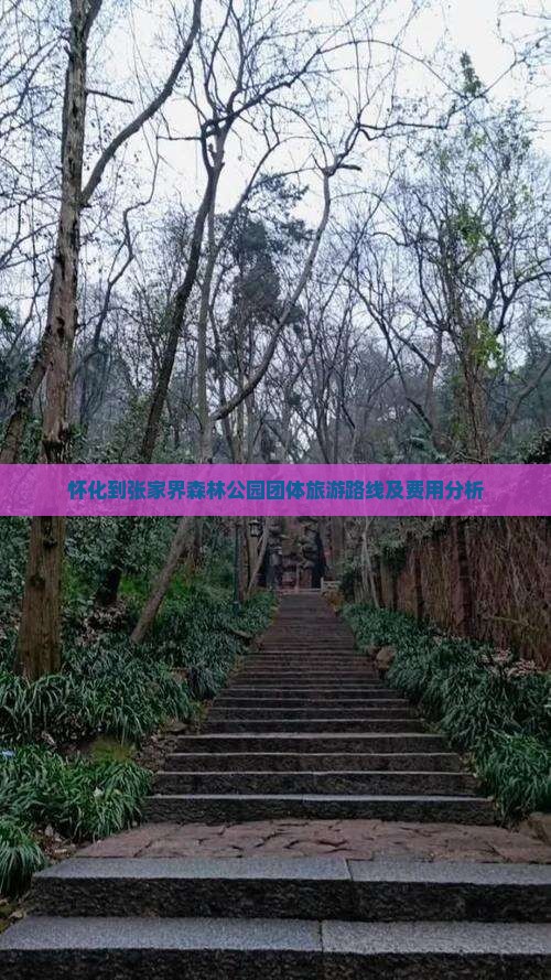怀化到张家界森林公园团体旅游路线及费用分析 怀化到张家界森林公园团体旅游路线及费用分析