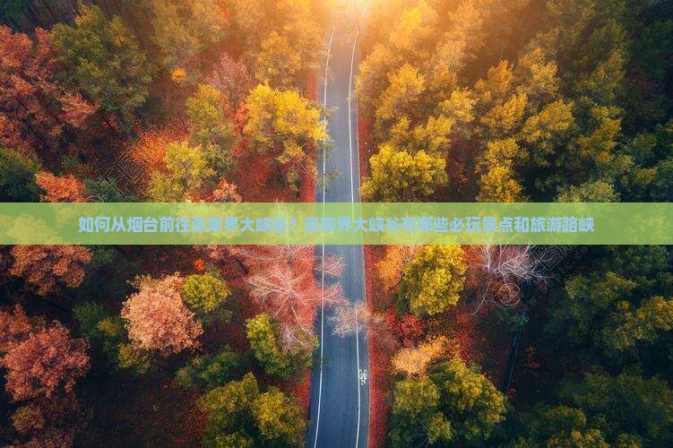 如何从烟台前往张家界大峡谷？张家界大峡谷有哪些必玩景点和旅游路峡
