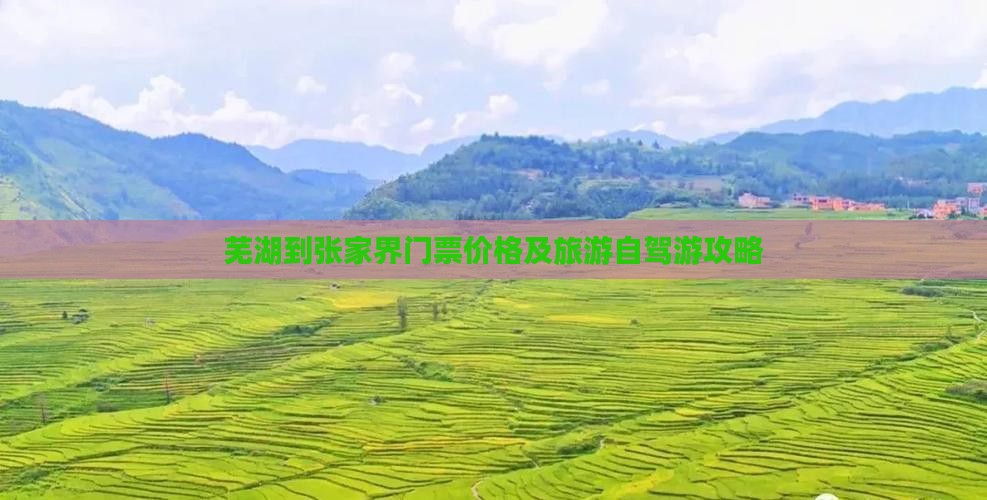 芜湖到张家界门票价格及旅游自驾游攻略