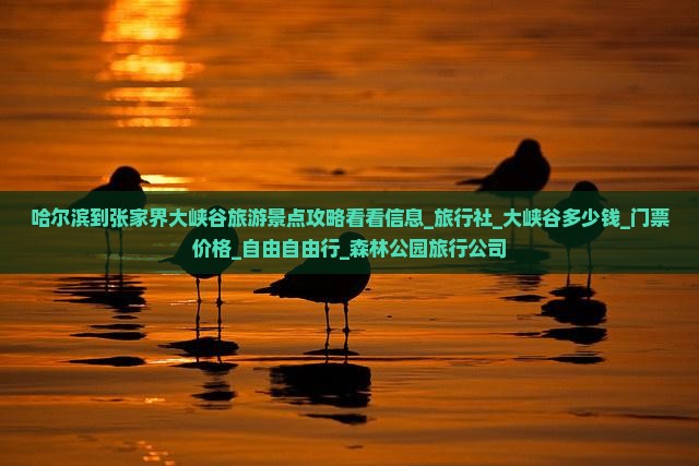 哈尔滨到张家界大峡谷旅游景点攻略看看信息_旅行社_大峡谷多少钱_门票价格_自由自由行_森林公园旅行公司