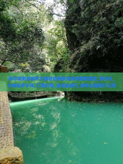 哈尔滨到张家界大峡谷旅游景点攻略看看信息_旅行社_大峡谷多少钱_门票价格_自由自由行_森林公园旅行公司