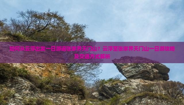 如何从云浮出发一日游遍张家界天门山？云浮至张家界天门山一日游攻略及交通方式解析