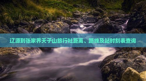 辽源到张家界天子山旅行社距离、路线及站时刻表查询