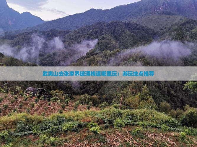 武夷山去张家界玻璃栈道哪里玩：游玩地点推荐