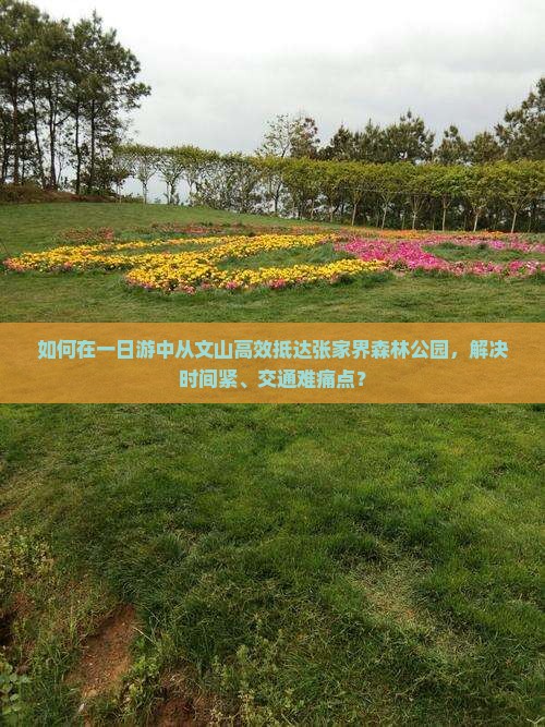 如何在一日游中从文山高效抵达张家界森林公园，解决时间紧、交通难痛点？