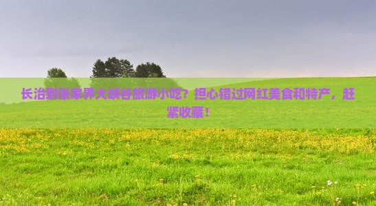 长治到张家界大峡谷旅游小吃？担心错过网红美食和特产，赶紧收藏！