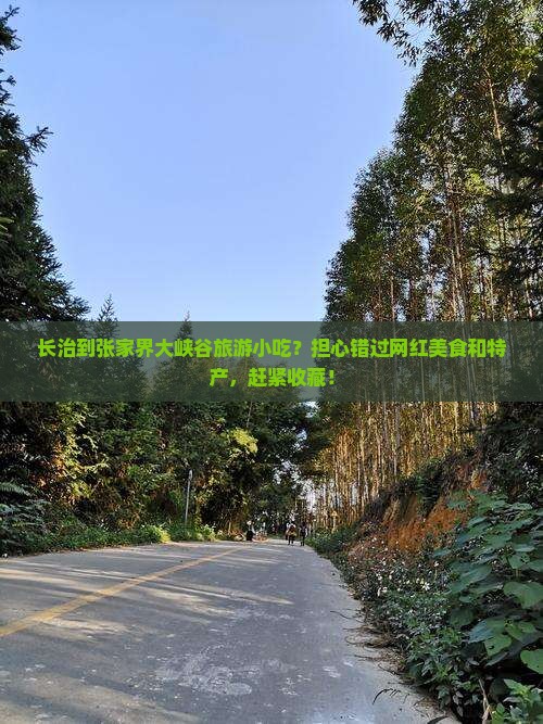 长治到张家界大峡谷旅游小吃？担心错过网红美食和特产，赶紧收藏！