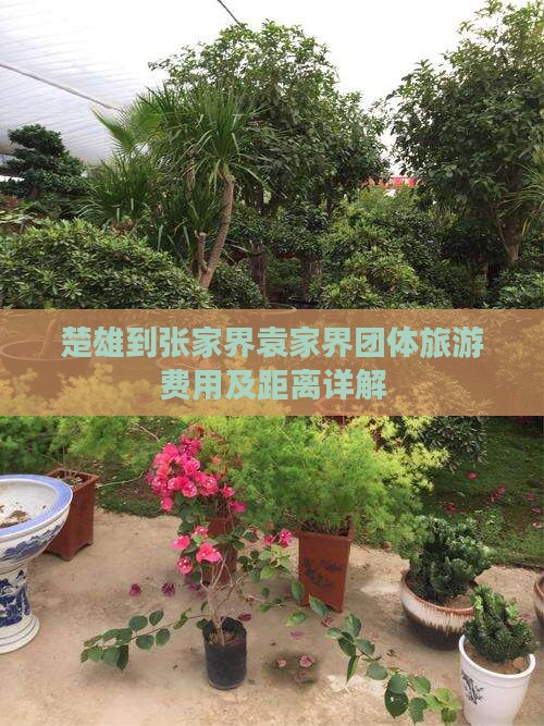 楚雄到张家界袁家界团体旅游费用及距离详解