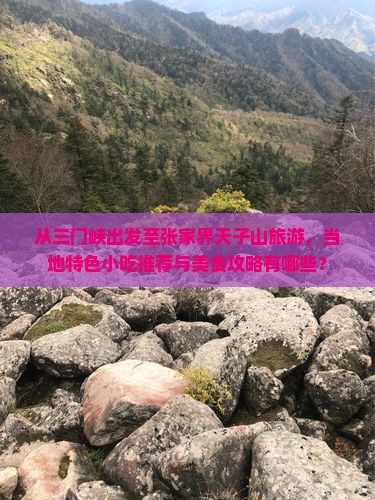 从三门峡出发至张家界天子山旅游，当地特色小吃推荐与美食攻略有哪些？