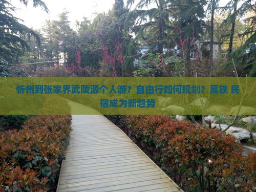 忻州到张家界武陵源个人游？自由行如何规划？高铁+民宿成为新趋势