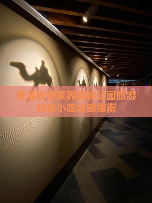 芜湖去张家界森林公园旅游特色小吃攻略指南