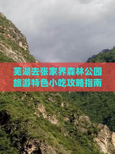 芜湖去张家界森林公园旅游特色小吃攻略指南