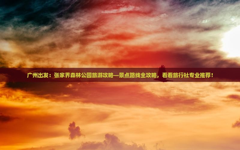 广州出发：张家界森林公园旅游攻略—景点路线全攻略，看看旅行社专业推荐！