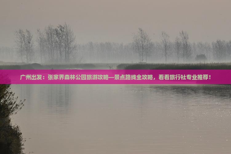 广州出发：张家界森林公园旅游攻略—景点路线全攻略，看看旅行社专业推荐！