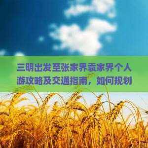三明出发至张家界袁家界个人游攻略及交通指南，如何规划行程与预算？